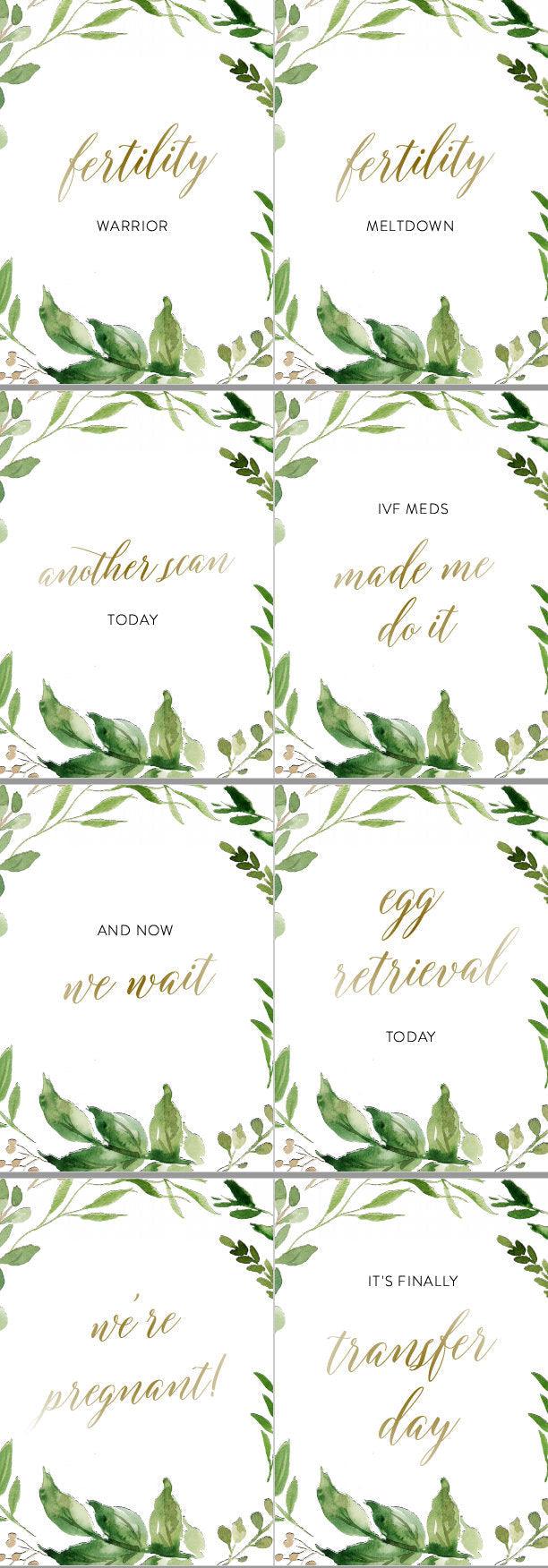 IVF Milestone Cards | Pregnancy Journey | Floral | Infertility | Photo Prop | Memories | 36 Card Set - Elisa - SAVVY PAPER CO