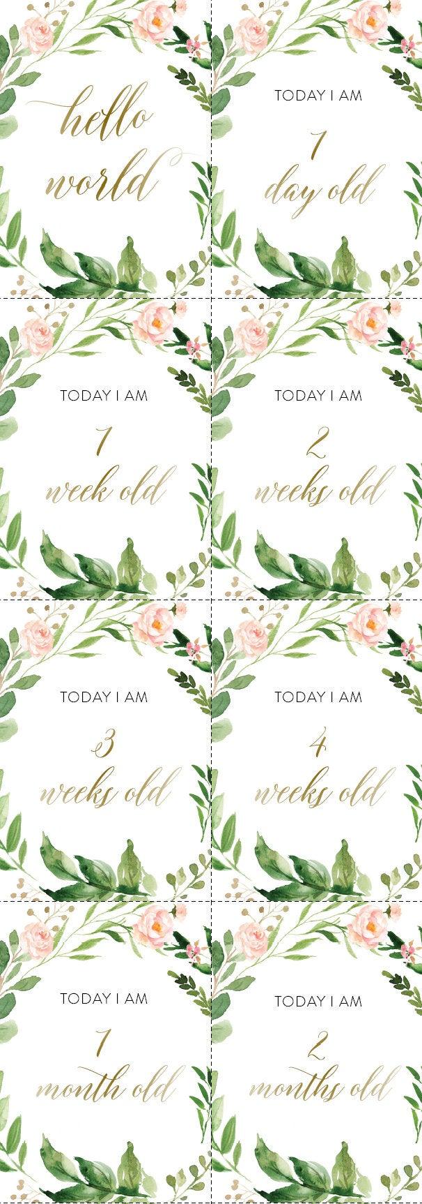 Printable Baby Milestone Cards, Baby Shower Gift, Baby, New Baby Gift, Baby Photo Props, Greenery , Baby Shower - Elisa - SAVVY PAPER CO