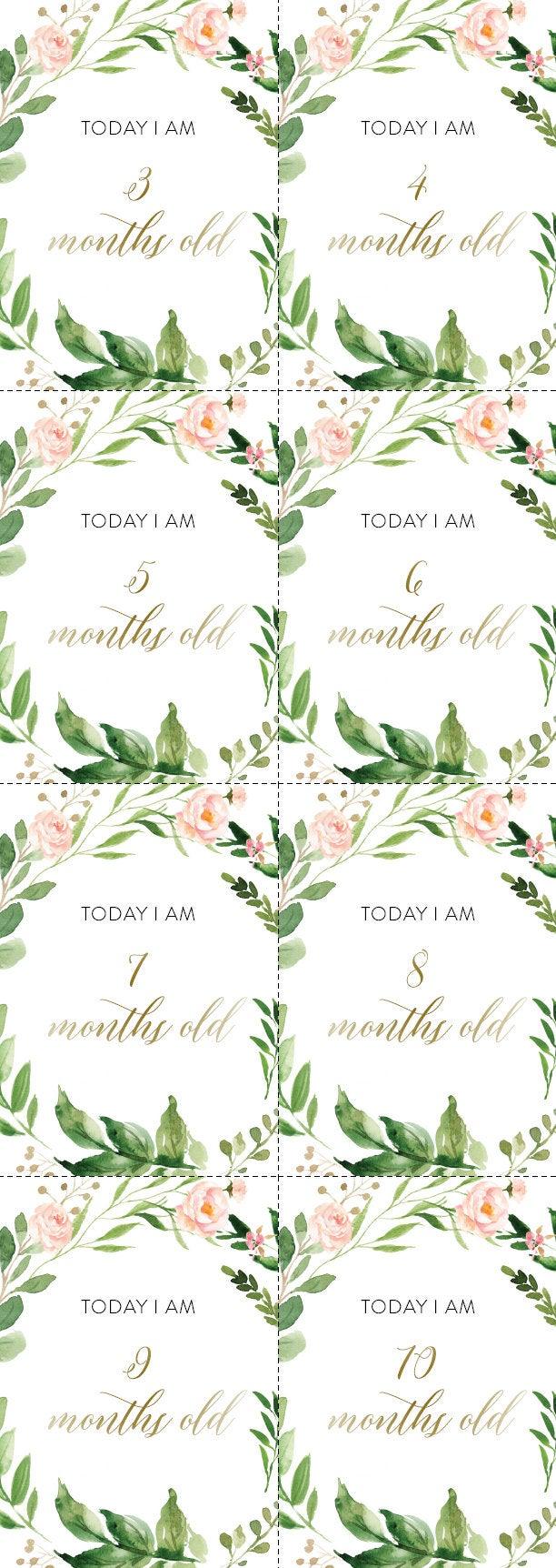 Printable Baby Milestone Cards, Baby Shower Gift, Baby, New Baby Gift, Baby Photo Props, Greenery , Baby Shower - Elisa - SAVVY PAPER CO