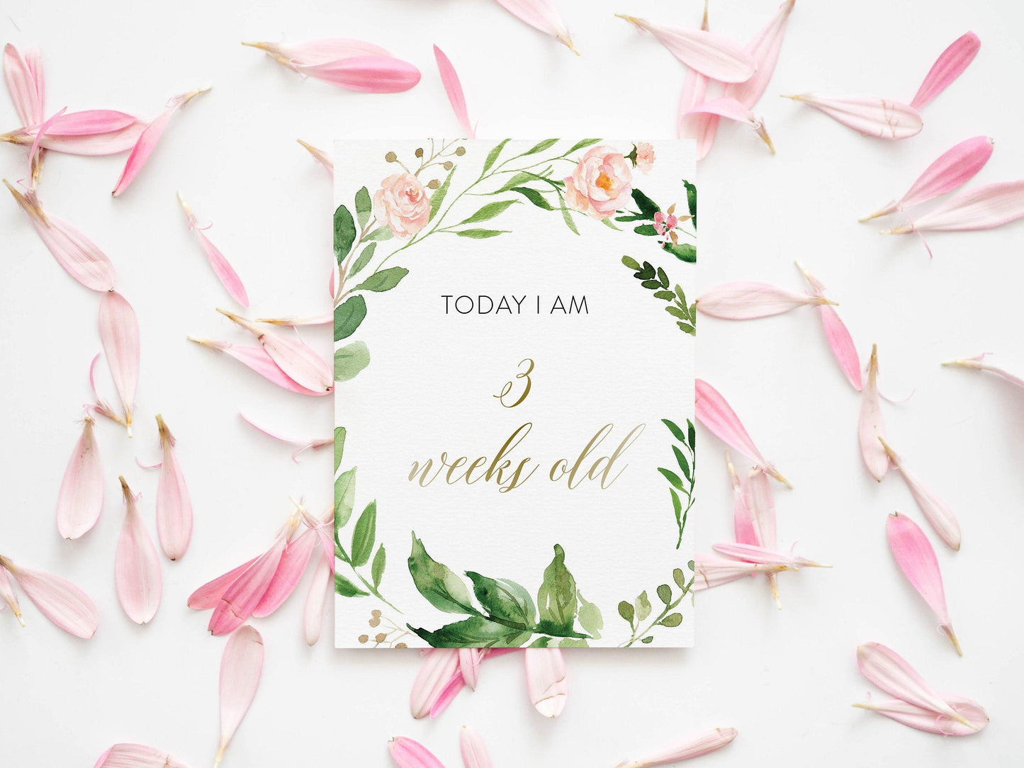 Printable Baby Milestone Cards, Baby Shower Gift, Baby, New Baby Gift, Baby Photo Props, Greenery , Baby Shower - Elisa - SAVVY PAPER CO