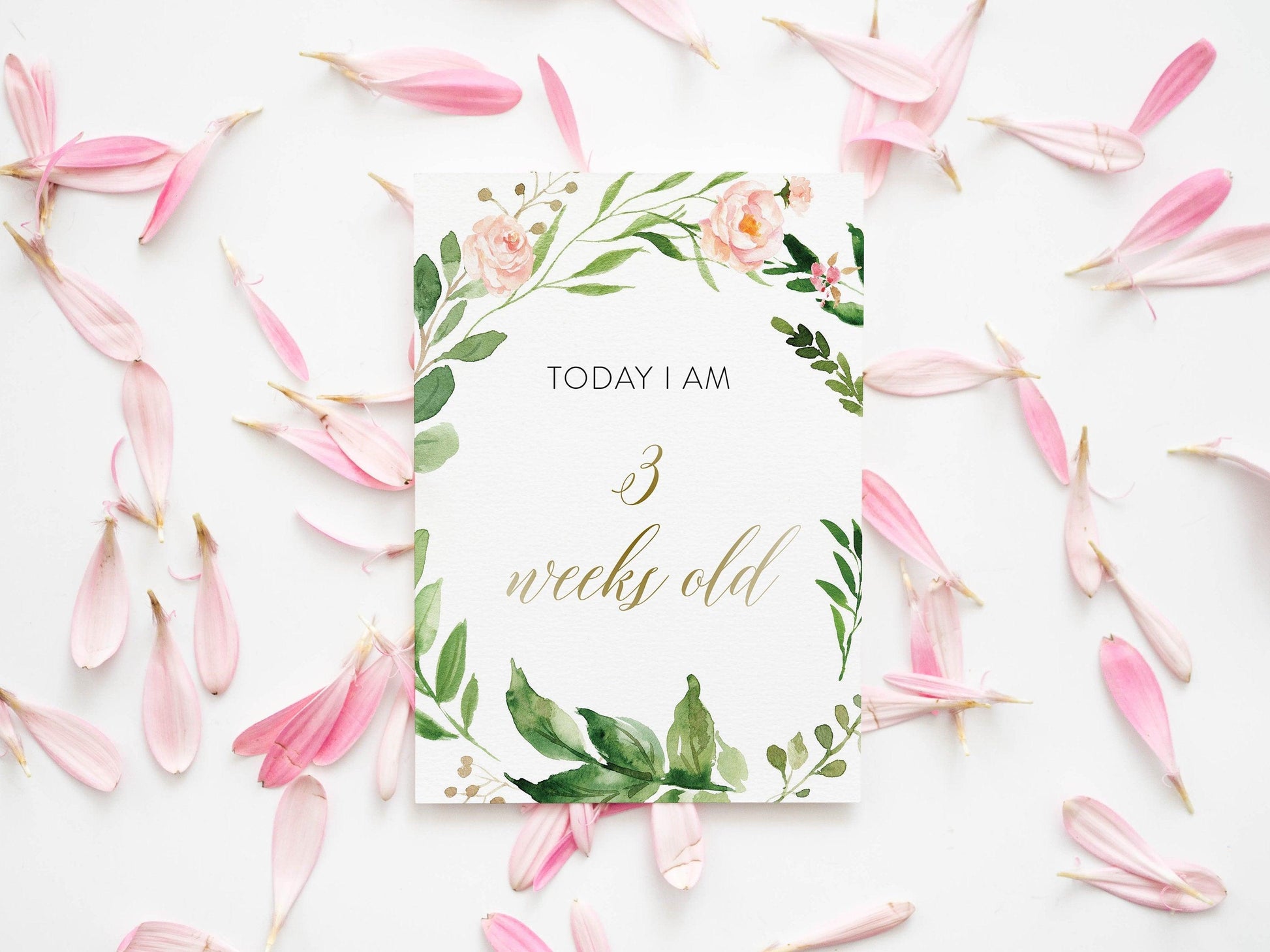 Printable Baby Milestone Cards, Baby Shower Gift, Baby, New Baby Gift, Baby Photo Props, Greenery , Baby Shower - Elisa - SAVVY PAPER CO