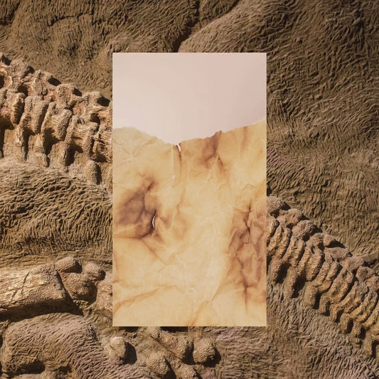 Dinosaur Birthday Video Invitation Modern Dinosaur Boy Birthday Invite Jurassic Dinosaur Party Editable Digital Template INSTANT DOWNLOAD