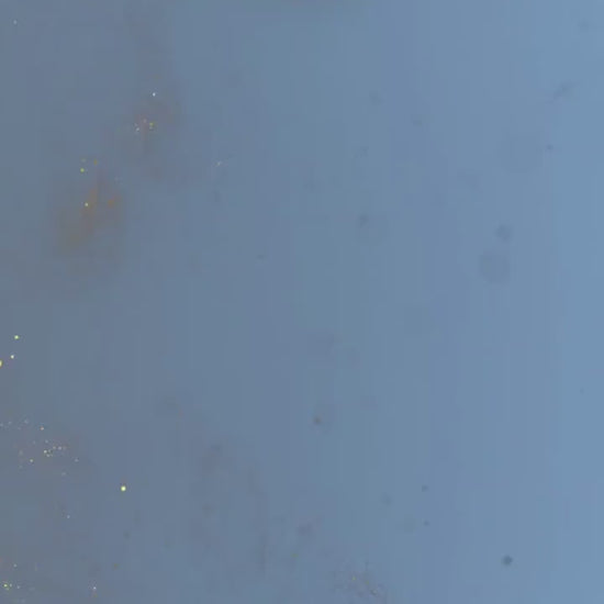 Baby Shower Electronic Invite Bear Balloons Video Glitter Animated, Baby Shower Digital Invite, baby shower e-vite boy, Edit in Canva