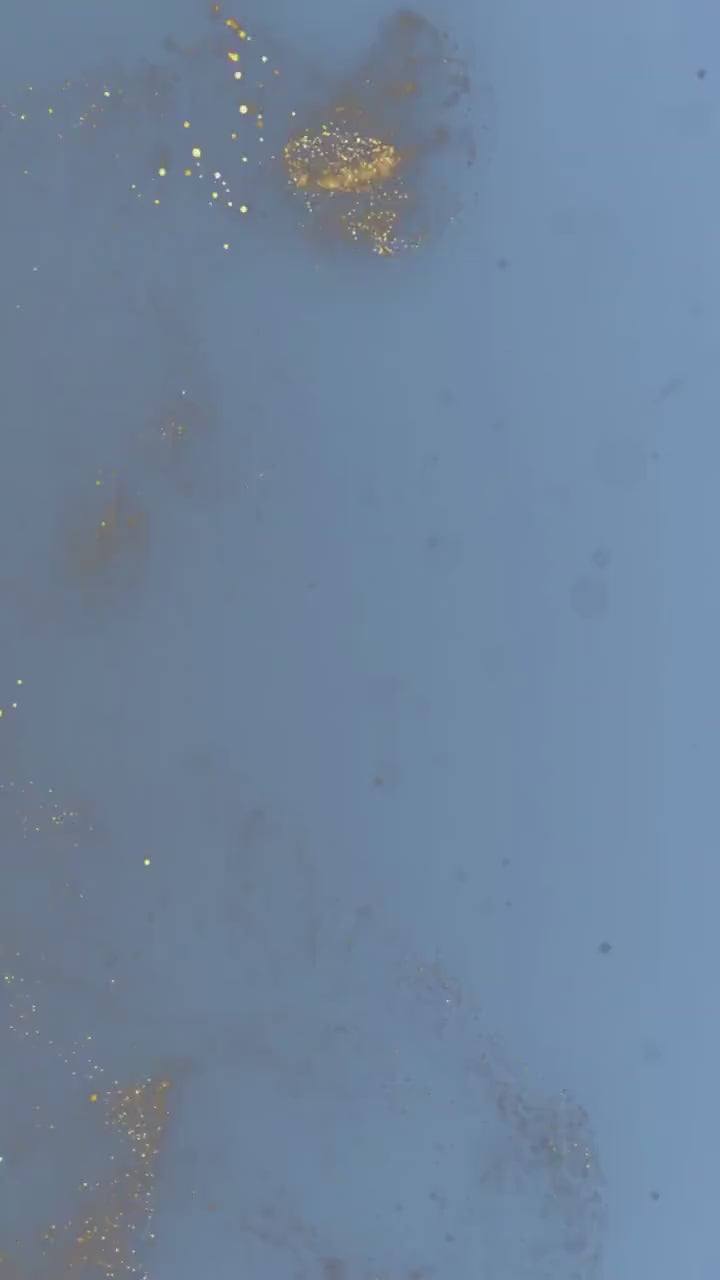 Baby Shower Electronic Invite Bear Balloons Video Glitter Animated, Baby Shower Digital Invite, baby shower e-vite boy, Edit in Canva