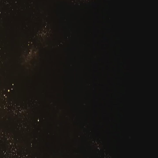 Tropical Digital Birthday Invitations, Editable Any Age Invite, Adult Video Invitation, 30th 40th 50th Birthday Invite, personalized evite