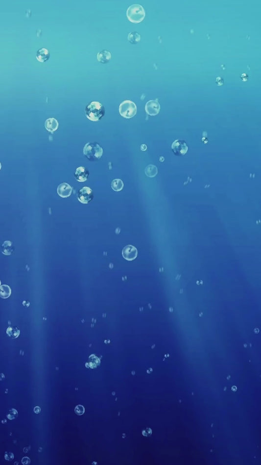 Sponge Bob Video Invitation, Electronic Birthday Video Invitation, Animated Invitation Sponge Bob Square Pants