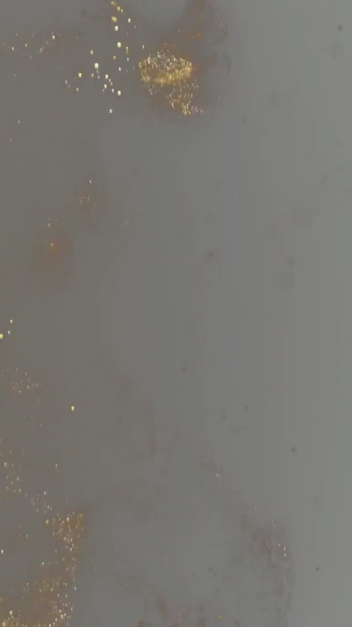 Baby Shower Electronic Invite Bear Balloons Video Glitter Animated, Baby Shower Digital Invite, baby shower e-vite, Edit in Canva