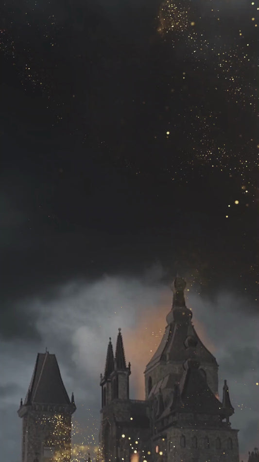 Harry Potter Wizard Party Invitation, Witches and Wizard Invite, Magical Invitation, Wizard Birthday Video Invitation