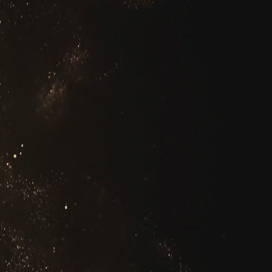 Digital birthday video invitation, Gold Editable Invite, Personalized animated invitations Any Age, Instant Download, Floral Ecard Template